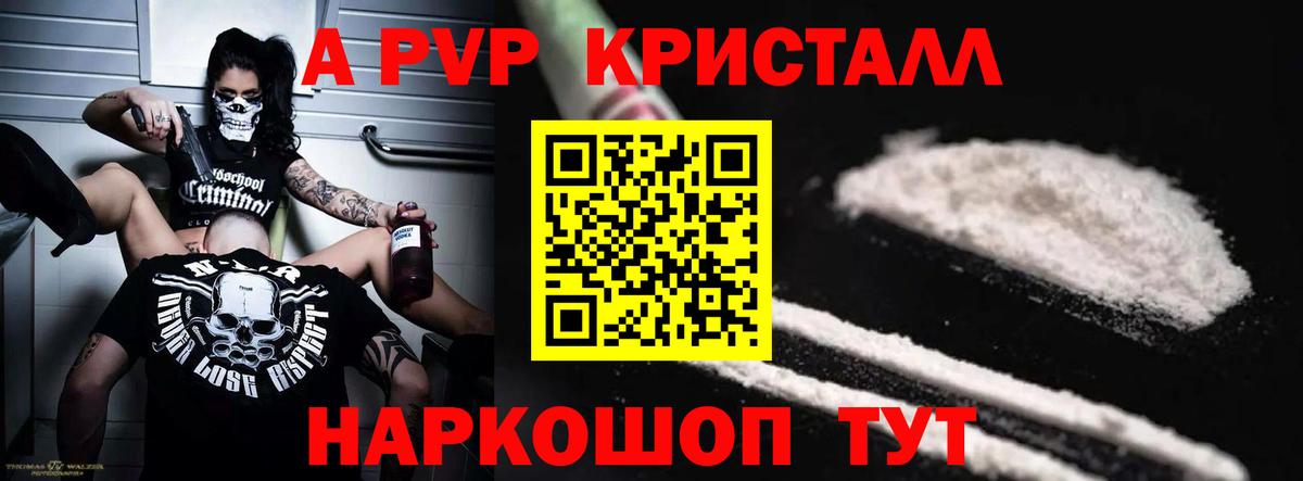 APVP СК Бийск