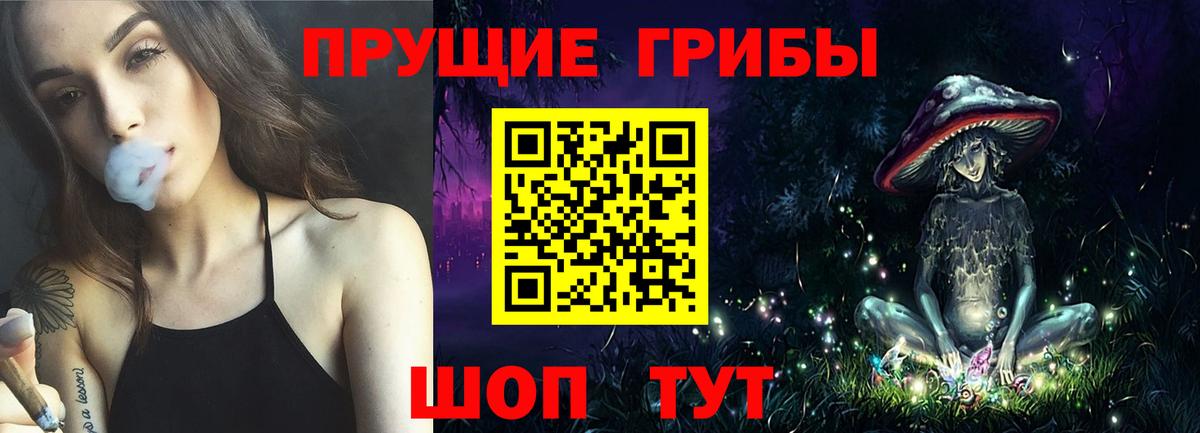 Псилоцибиновые грибы MAGIC MUSHROOMS  Вход с VPN  Бийск 