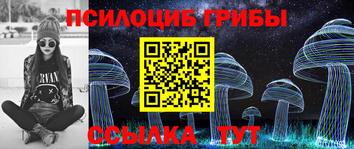 Псилоцибиновые грибы Cubensis Бийск